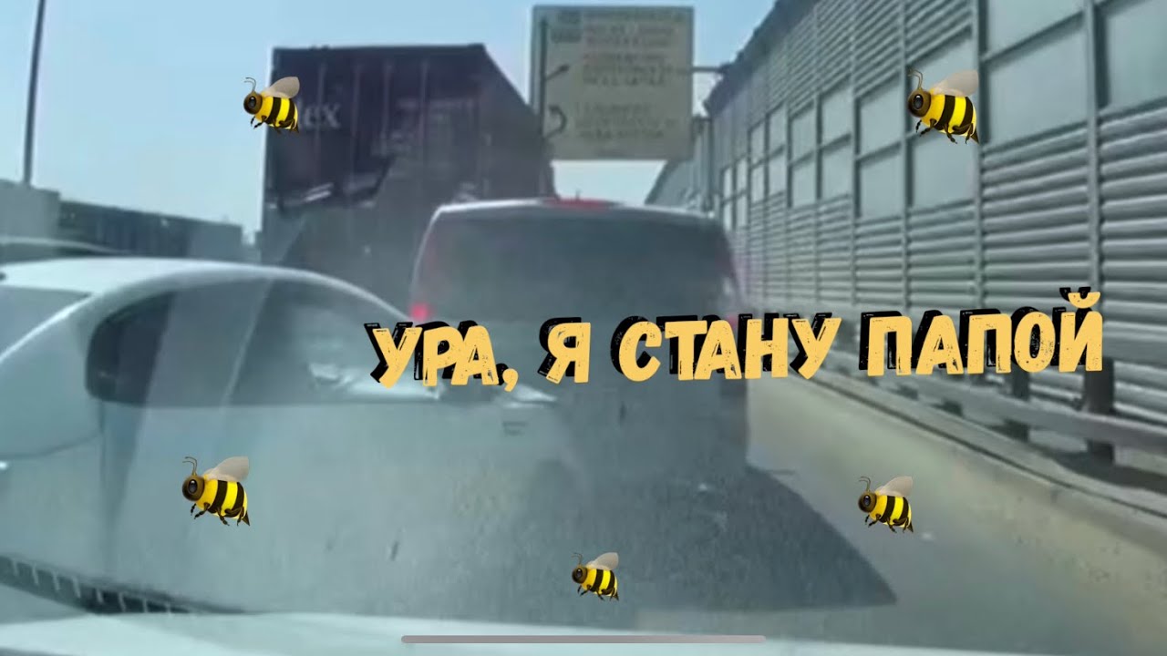 Как размножаются машины