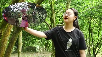 Olympic Tiếng Anh tài năng cấp tỉnh năm học 2021-2022