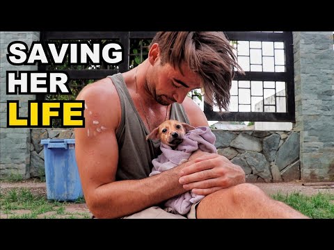 HOMELESS  & ABANDONED IN THE PHILIPPINES (LIFE CHANGING MOMENT)