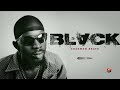 [FREE] Black Sherif x Kwesi Arthur Type Beat "Blvck"