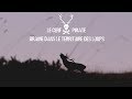Le Cerf Pirate -  Brame dans le Territoire des Loups - HD 1080p Youtube