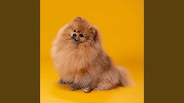 Background for Fusion Escape