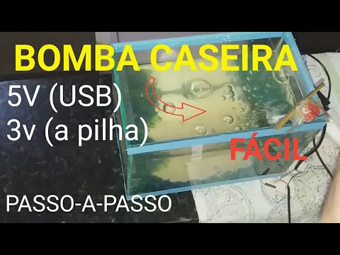 Vídeo: Quanto alimento um gato deve comer diariamente?