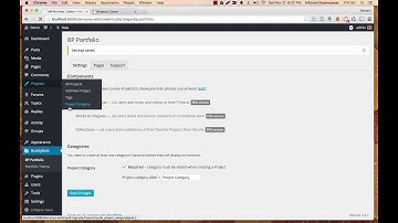 How to use BP Portfolio (Free) tutorial