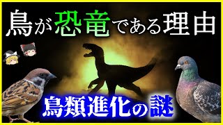 【ゆっくり解説】恐竜は絶滅していない⁉「鳥」が恐竜である理由を解説/鳥類進化の歴史と収斂進化、恐竜起源説vs共通祖先説