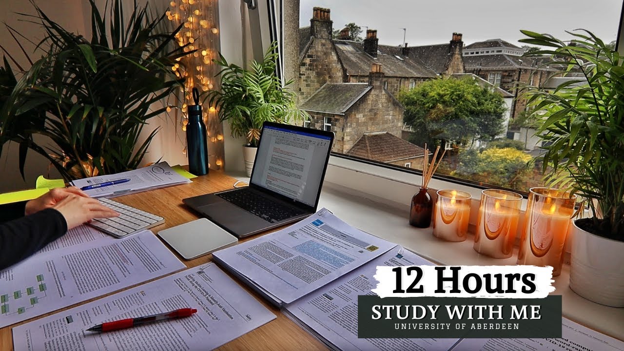 11 Best Study with Me  Channels and Livestreams