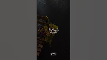 والله يدعوا إلى دار السلم 🤍 ｜ القارئ عبدالله الخلف 🎙