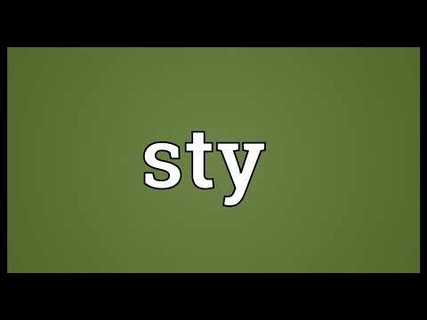 Sty Meaning