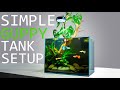 How to setup a simple guppy fish tank tutorial