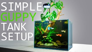 How to Setup a Simple Guppy Fish Tank: TUTORIAL by Regis Aquatics 928,145 views 3 years ago 10 minutes, 30 seconds