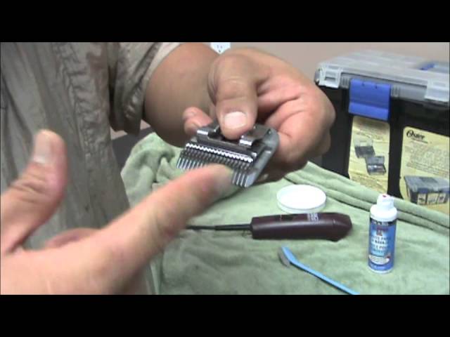 WAHL - How to Oil Your Pet Clipper Blade 