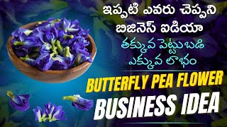 How to Start a Profitable Butterfly Pea Flower Business | New Business Ideas In Telugu #aparajitha