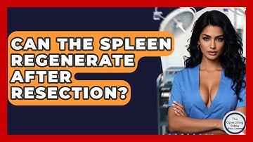 Can The Spleen Regenerate After Resection? - The Operating Table