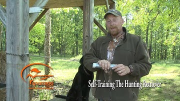 Vid 11 Force Fetch 2nd Step