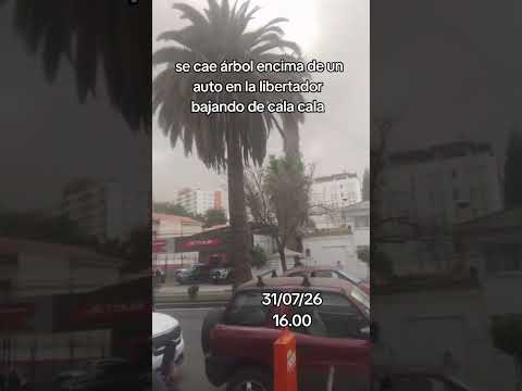 se cae árbol encima de un auto en la libertador bajando de cala cala