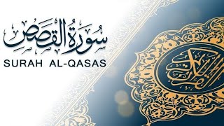Surah Al-Qasas 🌿🤍 | A Powerful Quran Recitation About Faith & Trust in Allah