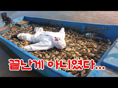 &amp;quot;외래어종 <strong>블루길</strong> 퇴치&amp;quot; 2년 후 그곳은?? 세상에.. 긴급상황!!