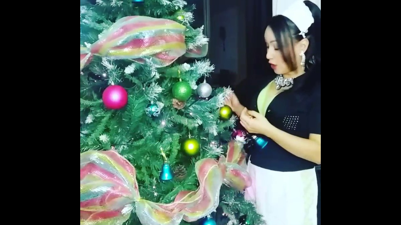 MUY RICA LA NAVIDAD... COMO NO! DOMESTICANTO niyi osundare