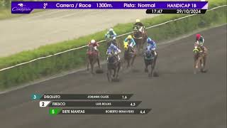 Vidéo de la course PMU PRIX YUPANQUI