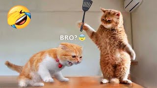 Try Not To Laugh or Grin While Watching Funny Cats and Dogs 2023 screenshot 2