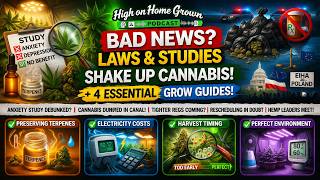 New Cannabis Study Raises Eyebrows + 4 Grow Tips That Change Everything