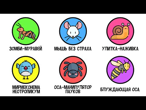 Все паразиты, управляющие поведением хозяина за 5 минут