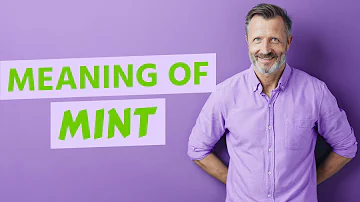 What does mint mean in slang?