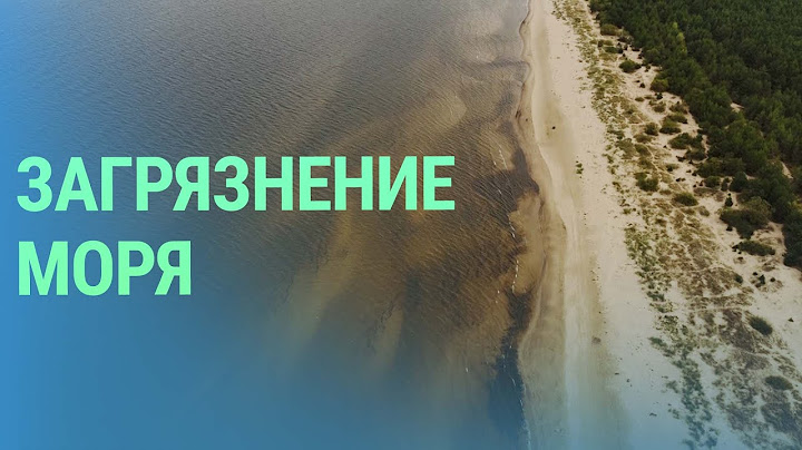 Воды балтийского моря – одно из самых загрязненных пространств на планете: что можно сделать?