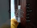رواية مصاص دماء كتب شورتات اكسبلور  كتاب روايات ترند شورتز رعب رعب نص الليل
