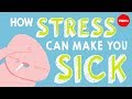 How stress affects your body  sharon horesh bergquist