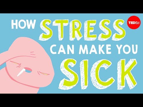 How stress affects your body - Sharon Horesh Bergquist