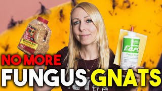 Control fungus gnats // Cinnamon vs. mosquito bits vs. sticky traps vs. diatomaceous earth