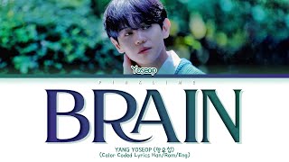 YANG YOSEOP 'BRAIN' Lyrics 양요섭 'BRAIN' 가사