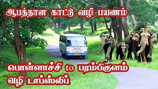 Thrill Pollachi to Parambikulam Dense Forest Early Morning Bus Journey Jolly Trip