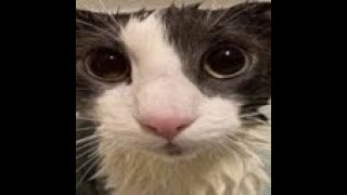 Leaking 8 Seconds Of Bezbip Complex To Show You How Much This Gif Is On Time