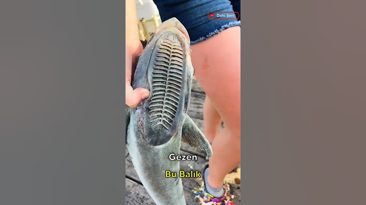 Yüzüne Balık Yapışırsa Korkma! Bu Şey Ne Yaptığını Biliyor 😳🐟 #keşfet #reels #video  #fyp
