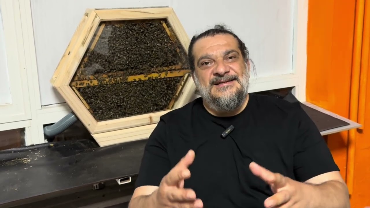 Arıcılık para kazandıran bir iş mi? Cevaplamak istedik