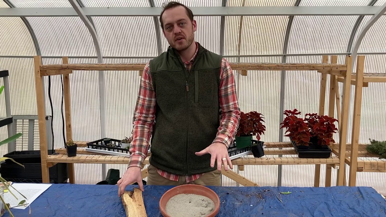 Fireplace Ashes for Lawn and Garden Use YouTube