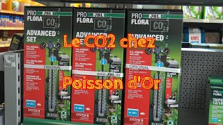 le co2 chez Poisson d'Or