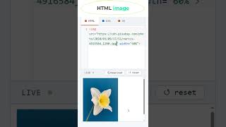 HTML Image Tag #coding #htmltutorial #csstutorial
