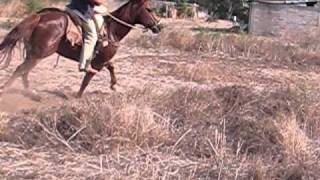 CABALLOS JM.AVI