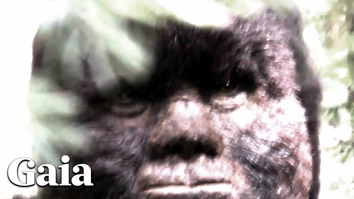 FACE to FACE with SASQUATCH - Filmmaker Spent Decades in the Wild