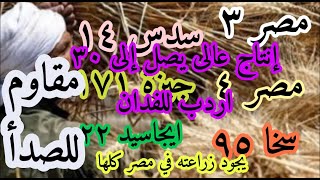 عايز تختار صنف قمح تزرعه السنه ٢٠٢٣ ومش عارف مميزات الأصناف مصر٤,٣ وسخا ٩٥ وجيزة ١٧١وسدس١٤وايجاسيد٢٢