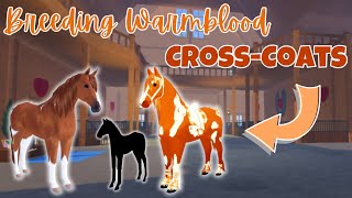Breeding Dutch Warmblood *CROSSCOATS!* | Wild Horse Islands