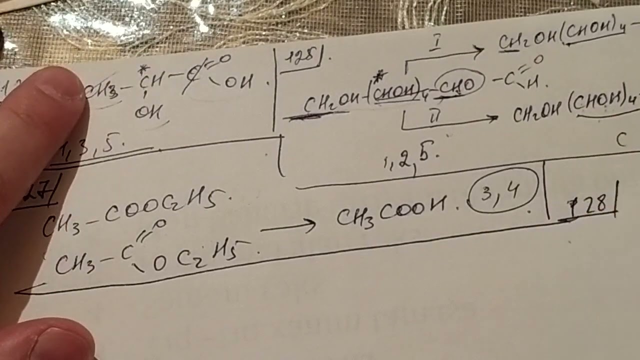 Monosaxaridlər test 124-son.DİM toplu 2019.