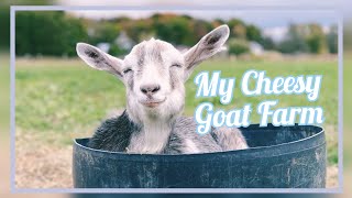 My Cheesy Goat Farm - Off Grid Sustainable Goat Cheese Farm in Portugal