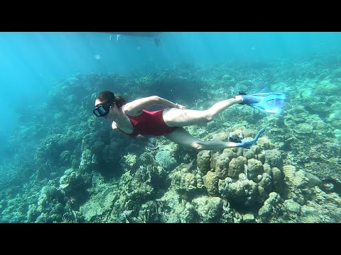 Pesona Raja Ampat nya Sulawesi, bersama Jovita Karen & Naomi Zaskia