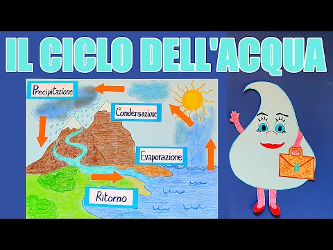💧🔃 Il ciclo