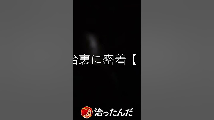 らっだぁ   【実写】約4万人の前で電流を流されたり宙吊られたりする実況者たちの舞台裏に密着【しぐなるわん】