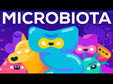 Cómo gobiernan el cuerpo las bacterias: la microbiota